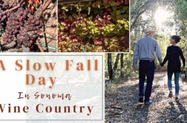 A Slow Fall Day in Sonoma Wine Country