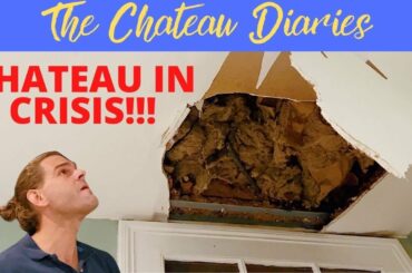 CHATEAU IN CRISIS!!!