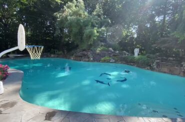 21 Benson Point Court