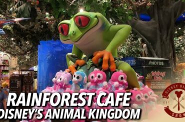 Rainforest Cafe a Wild Place to Eat & Play! | Disney's Animal Kingdom