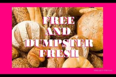 DUMPSTER DIVING FOR FRESH BAKERY PODOCTS