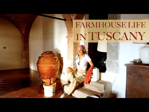 RENOVATING A RUIN: A Tuscan Living Room, Olive Picking, Chicken Coop Construction Update (Ep12) RENOVATING A RUIN: A Tuscan Living Room, Olive Picking, Chicken Coop Construction Update (Ep12)