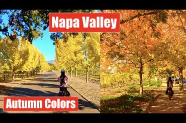Fall Colors Napa Valley/French Laundry/Most Expensive Restaurant in USA