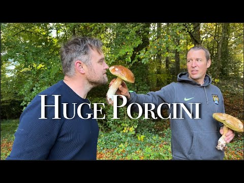 Huge Porcini @The Pethericks @Doing It Ourselves @Sadie in France Huge Porcini @The Pethericks @Doing It Ourselves @Sadie in France