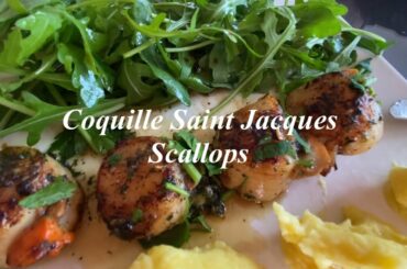 FRENCH SCALLOPS IN 10 MIN.DELICIOUSLY SILKY BUTTER SAUCE