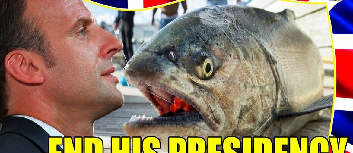 The French reject the weak leader: We want Macron's presidency to end as soon as possible!