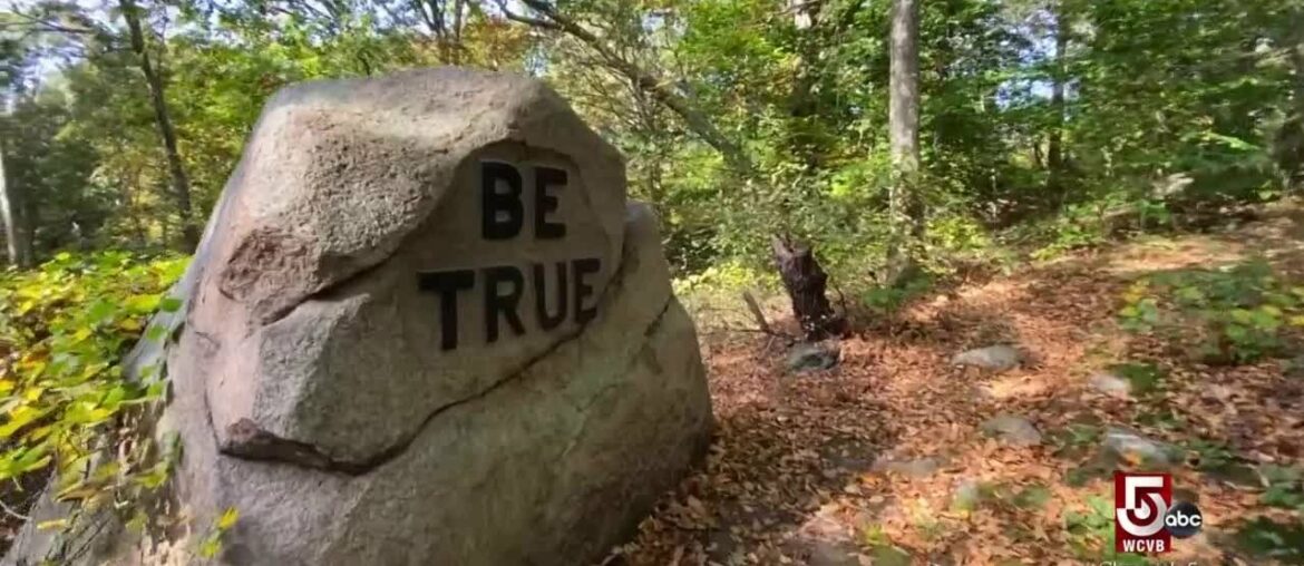 Hidden gems tucked inside a liquor store and buried deep in the woods
