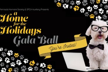 A Home for the Holidays: Virtual Gala 2021