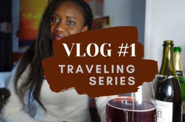 Inexpensive FRENCH WINE Tastes Like This  l VLOG #1