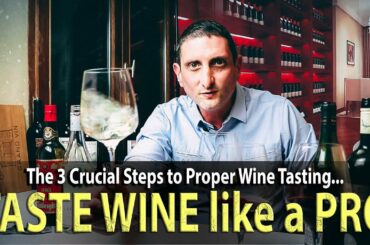 The 3 Steps of Tasting Wine | Why are they important? (sight, smell, taste).