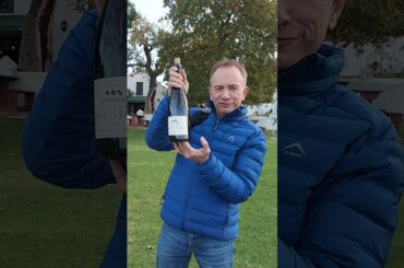 Under Oaks Restaurant, French Flair red wine  #shorts