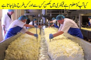 Five Fantastic Food Manufacturing Factories | Door Bini