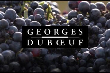Georges Duboeuf - Beaujolais Nouveau 2021