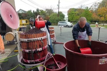Wine Making - Pressing 2021