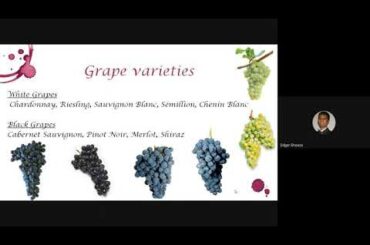Understanding Wine | by Edgar D'Souza | 12th November, 2021 |
