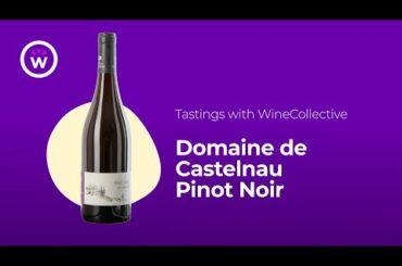 Wine Tastings with WineCollective | Domaine de Castelnau Pinot Noir