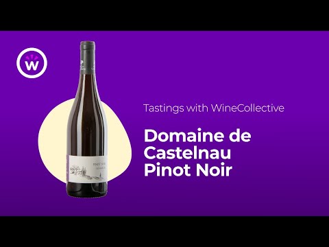Wine Tastings with WineCollective | Domaine de Castelnau Pinot Noir Wine Tastings with WineCollective | Domaine de Castelnau Pinot Noir