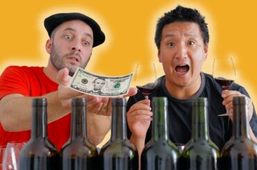 BORDEAUX on a BUDGET | Blind Tasting AFFORDABLE French RED Wine
