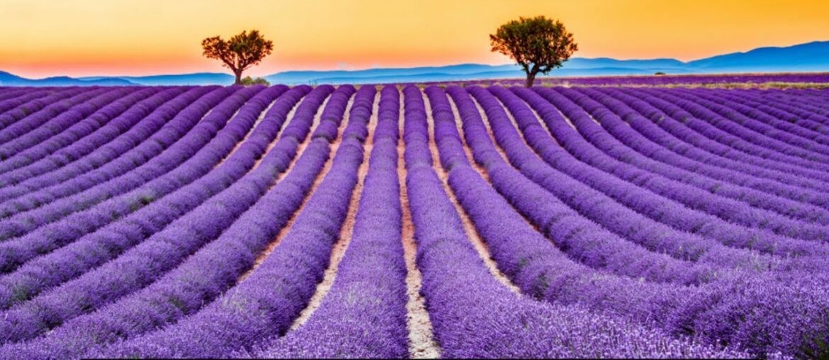 Best Places to Visit in France Final Best Places to Visit in France Final