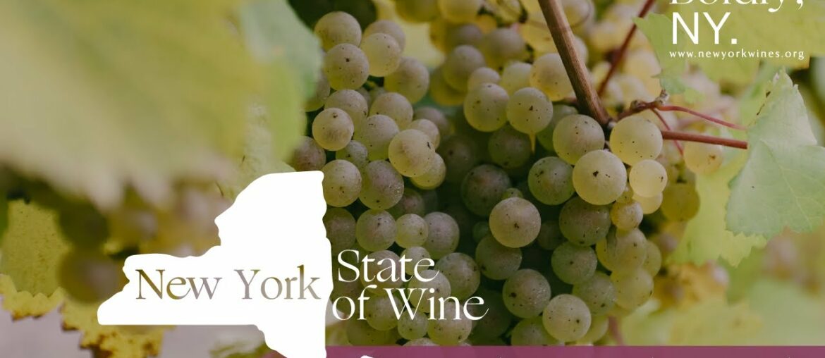 New York State of Wine: Riesling Battle Royal