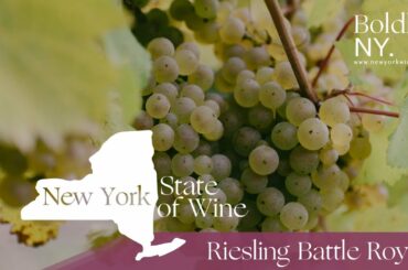 New York State of Wine: Riesling Battle Royal