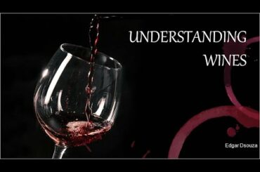 Understanding Wine
