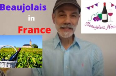 Le Beaujolais nouveau : Beaujolais nouveau in France