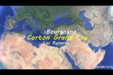 Corton Grand Cru Les Renards  | French wine map | Wine study
