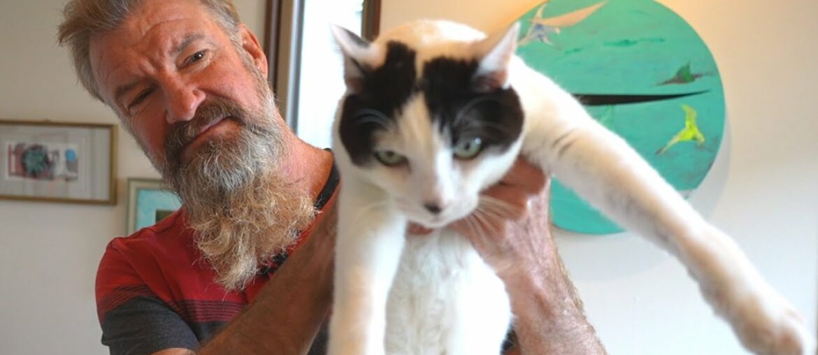 Home Cooked Organic Gourmet Lunch at Japan Bed & Breakfast Inn (Minshiku) – Eric Meal Time #615 Home Cooked Organic Gourmet Lunch at Japan Bed & Breakfast Inn (Minshiku) - Eric Meal Time #615