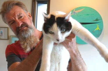 Home Cooked Organic Gourmet Lunch at Japan Bed & Breakfast Inn (Minshiku) - Eric Meal Time #615