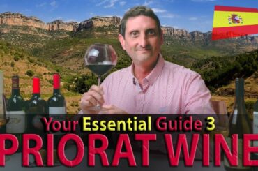 Are Priorat Wines Any GOOD? - A Spanish Wine Story...