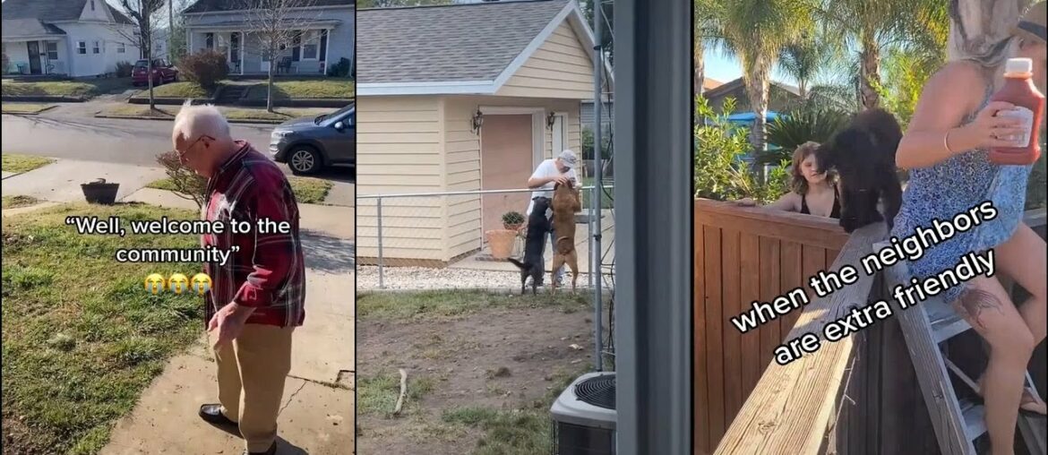 Why don't i have a neighbor like these !?