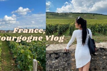 FRANCE VLOG | Road Trip Through Bourgogne (BURGUNDY) + Wine Tour!!