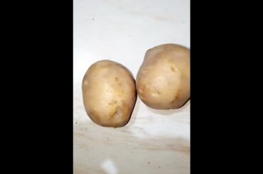 #shorts/CRISPY FRENCH FRIES RECIPE/French fries/#malayalam cooking/#food shorts/Cook With Sheree