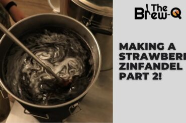 Making My First Wine Part 2!