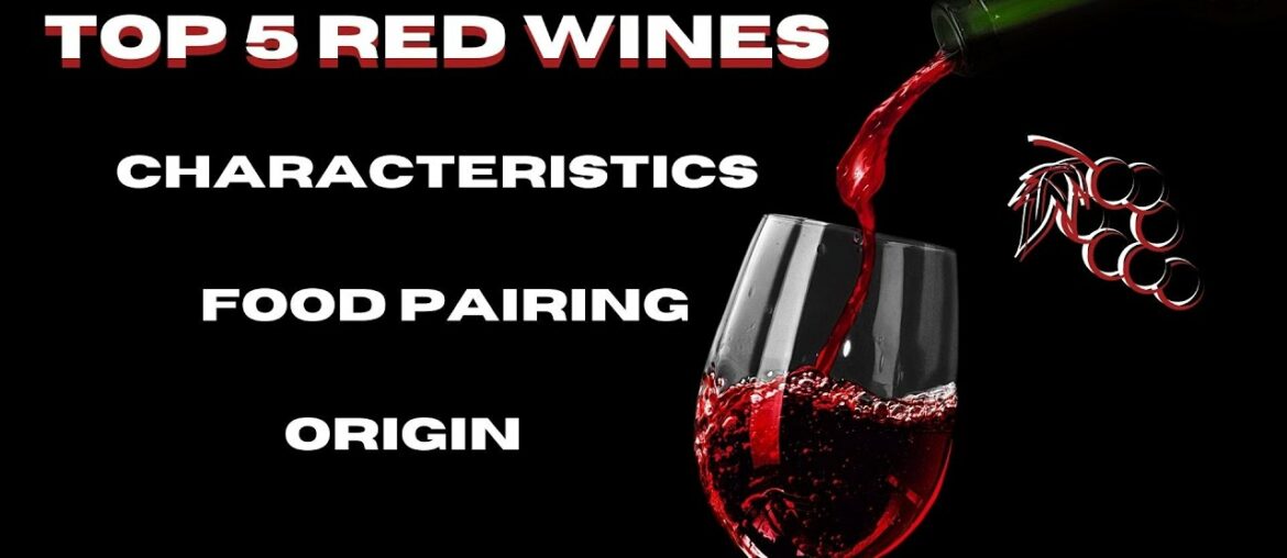 Top 5 Red Wine Grapes in the World. Wine characteristics of French and Italian grapes and blends!