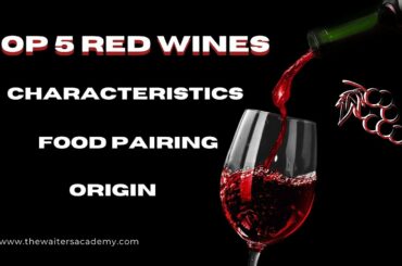 Top 5 Red Wine Grapes in the World. Wine characteristics of French and Italian grapes and blends!