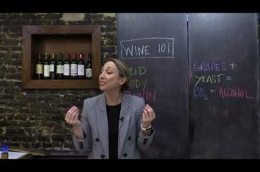 Wine 101 Online Class | Learn About Wine