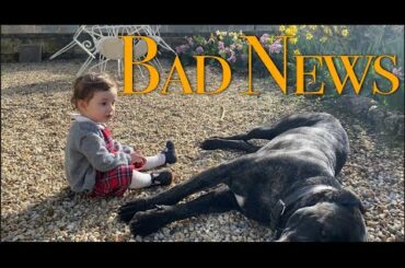 Bad News : The Reason Why You Haven't Seen The Dogs Lately..