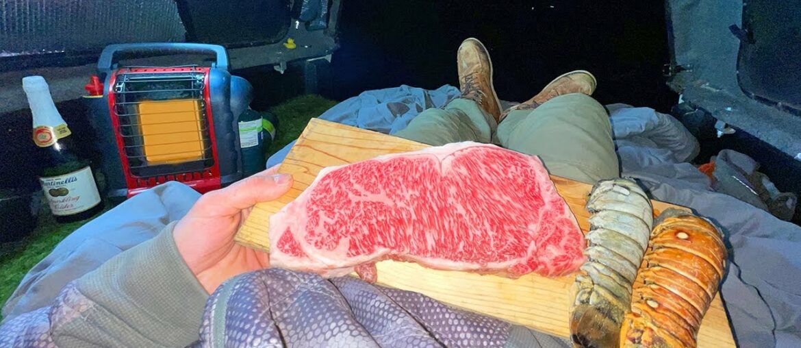 Cooking a Gourmet Dinner out of my Truck (Camping Meal)