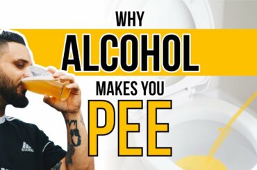 Why Does Alcohol Make You Pee?