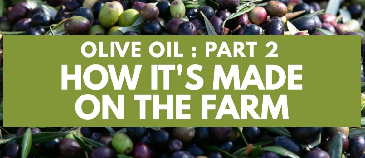 MORE OLIVE OIL FACTS: PART 2 of a SIMPLE GUIDE to a SUPER FOOD. EXTRA VIRGIN OLIVE OIL HOW IT'S MADE MORE OLIVE OIL FACTS: PART 2 of a SIMPLE GUIDE to a SUPER FOOD. EXTRA VIRGIN OLIVE OIL HOW IT'S MADE