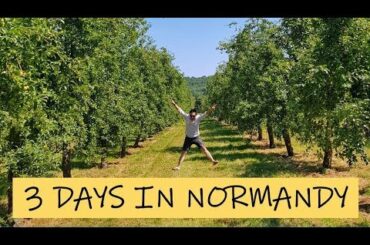 Normandy Food Tour: French Cider, Cheese, Calvados & Oysters! |  One Hungry Asian Travel Blog