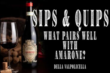 Sips & Quips: Wine Review! Ca'Storica Amarone della Valpolicella (food pairing)