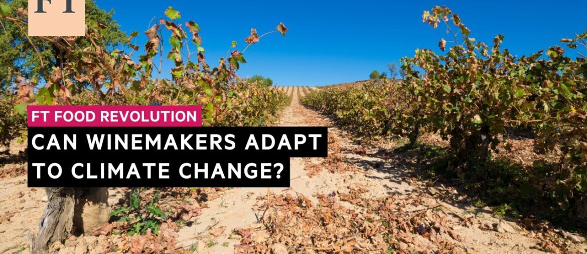 Can winemakers adapt to climate change? | FT Food Revolution Can winemakers adapt to climate change? | FT Food Revolution