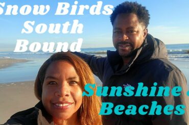 Snow Birds In Search of Sunshine, Beaches and an Umbrella In a Glass