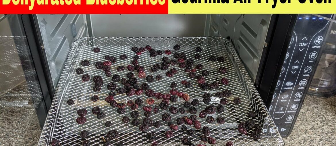 Dehydrated Blueberries, Gourmia Digital French Door Air Fryer Oven Dehydrated Blueberries, Gourmia Digital French Door Air Fryer Oven