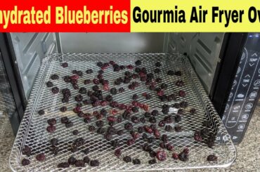 Dehydrated Blueberries, Gourmia Digital French Door Air Fryer Oven