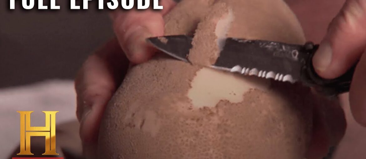 Modern Marvels: The Incredible Potato (S15, E4) | Full Episode Modern Marvels: The Incredible Potato (S15, E4) | Full Episode