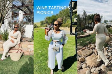 Wine Safari, Tasting & Picnics | Cape Town | Vlogmas